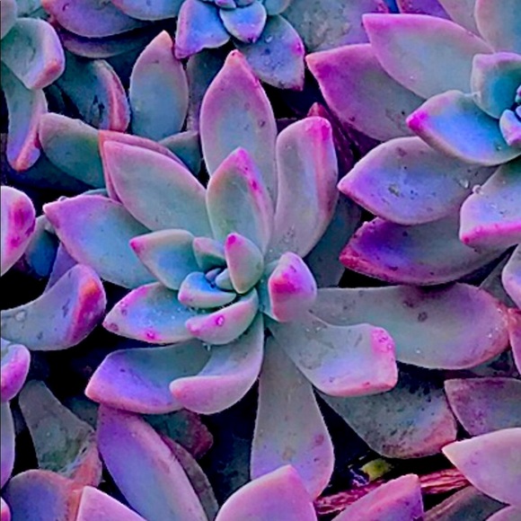 Meet your Posher, it's my Pleasure ! - Picture 10 of 16